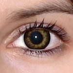 Gorgeous grey v detailu na původní barvě očí hnědo-zelené