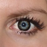 Gorgeous grey v detailu na původní barvě očí modré
